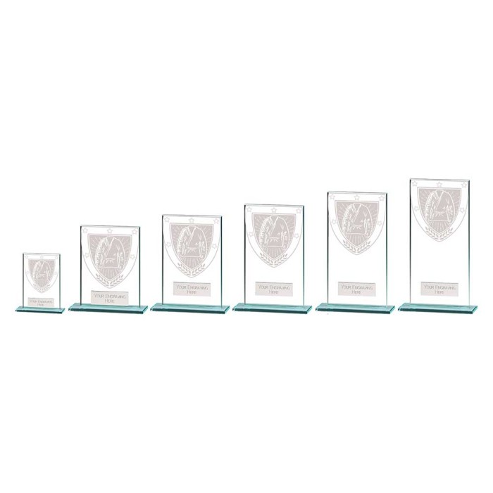 MILLENNIUM MARTIAL ARTS GLASS TROPHY - 6 SIZES - 8CM - 18CM